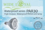 par38-ledbulbs